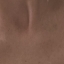 ankacharlotte