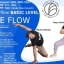 OFFLINE Basic Level Training Inside Flow 