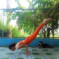 mainguyenyogi