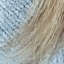 jennabeansaz