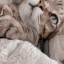 yazhi_lin_