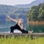 sandy_yogi_flow