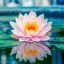 zengirl9801