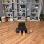 mindfulmovementforall