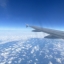 sofie7777